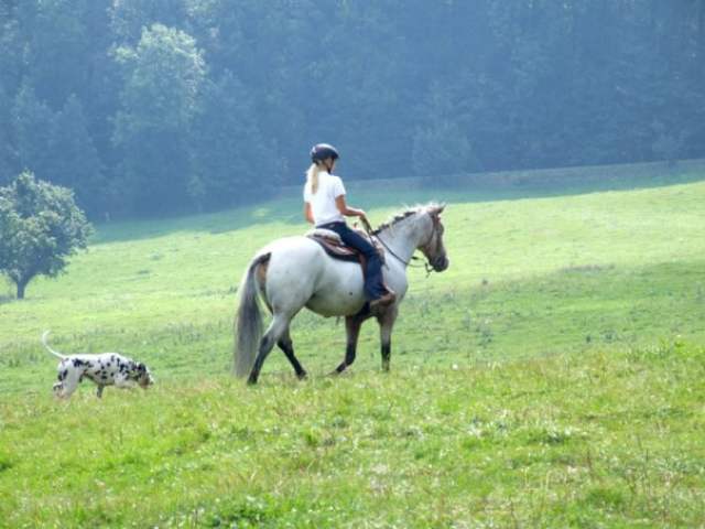 8824_1127491949468_1292263772_30347203_2319730_n